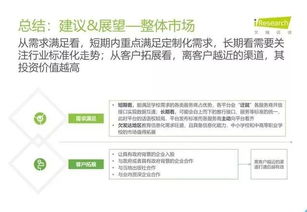 2019年中國教育信息化行業(yè)報告 信息技術(shù)咨詢服務(wù)